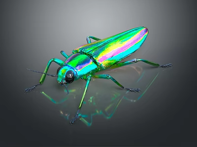 Colorful Metallic Beetle With Iridescent Green And Purple Shell On Dark Background With Reflection 3d model