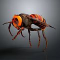Detailed Black and Orange Striped Hornet With Large Head and Prominent Eyes Close Up View