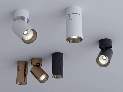 Modern Downlights And Spotlights In Multiple Colors For Interior Lighting Design 3d model