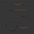 Curved Brown Organ And Hair Structures With Striped Patterns And Textured Surfaces