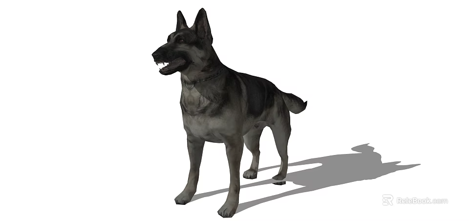 Realistic German Shepherd Dog Standing With Shadow On White Background 3d model 