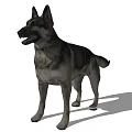 Realistic German Shepherd Dog Standing With Shadow On White Background