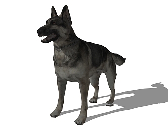 Modern Dog Animal Dog 3d model