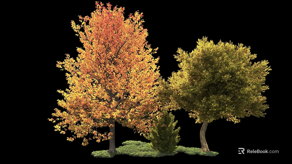 Trees With Orange Red And Green Leaves Surrounded By Small Shrub And Green Grass 3d model 