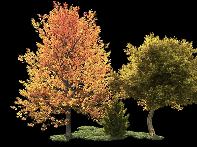 Trees With Orange Red And Green Leaves Surrounded By Small Shrub And Green Grass 3d model