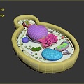 Bacteria Eukaryotic cell Cross section Cell Cell structure Cell tissue Anatomical organ 3d model