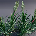 Stylish Vase With Green Long Leaf Flowers And Red Spikes For Home Decoration