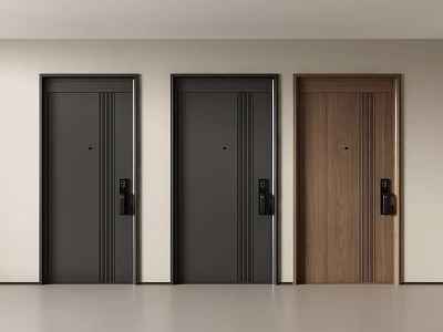 Security Doors Modern Design With Different Dark And Wooden Texture Styles For Interior 3d model
