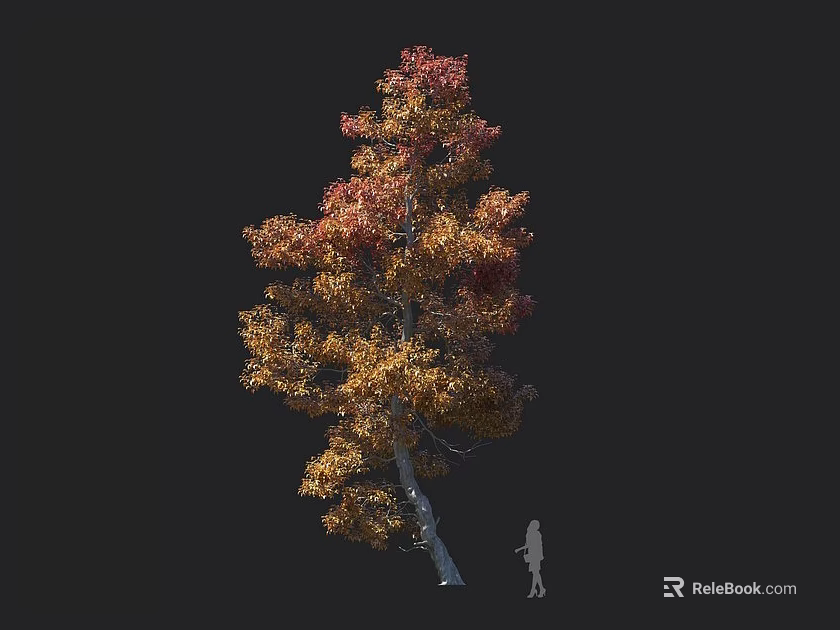 Tall Tree With Red And Yellow Fall Leaves Next To Person Silhouette For Scale 3d model 