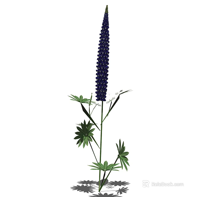 Purple Lupine Flower With Tall Spike And Green Palmate Leaves 3d model 