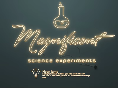 Neon Lamp Combination With Flask Shape Design For Magnificent Science Experiments 3d model