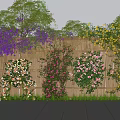Climbing Vines Cover Bamboo Fence With Colorful Flowers In Garden Lush Trees And Stone Path