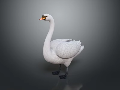 Goose Big Goose White Goose Domestic Animal Training Domestic Animal Farming Mammals Mammals 3d model