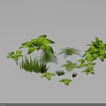 Various Green Plants With Different Leaf Shapes And Sizes In 3D Render 3d model