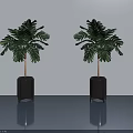Sleek Swing Door Design With Green Plants Black Planters And Light Walls