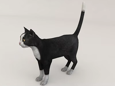 Realistic Black And White Cat 3D Model Standing 3d model