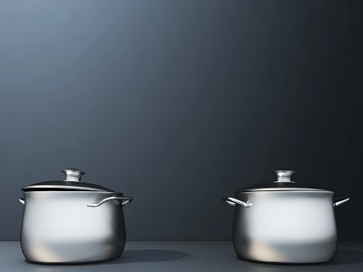 Two Silver Cooking Pots with Lids and Handles Displayed on Dark Background for Kitchenware 3d model