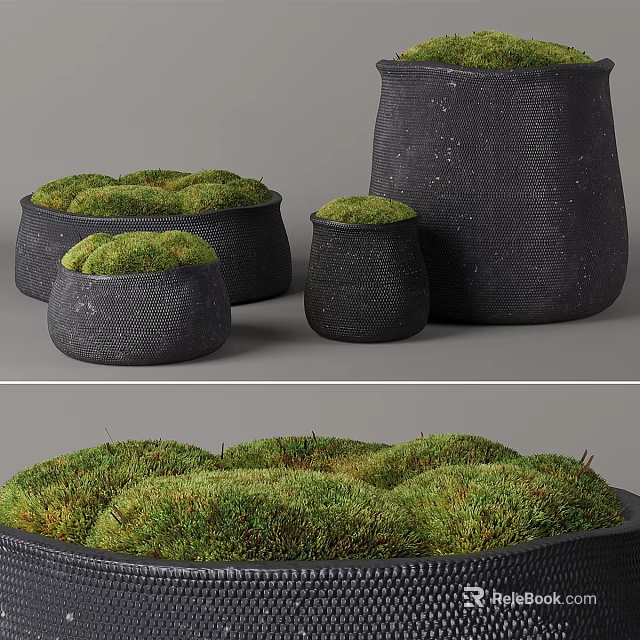 Modern Decorative Ornament Set With Black Textured Vessels And Green Moss 3d model 