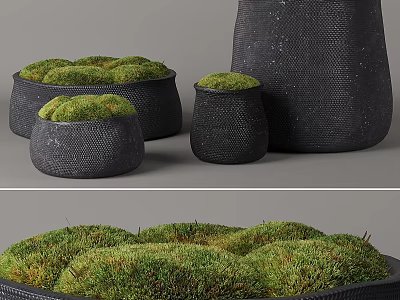 Modern Decorative Ornament Set With Black Textured Vessels And Green Moss 3d model