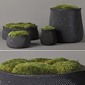 Modern Decorative Ornament Set With Black Textured Vessels And Green Moss