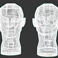 Cultural Art Gallery Displaying Low Poly Human Head Sculptures With Front And Back Views
