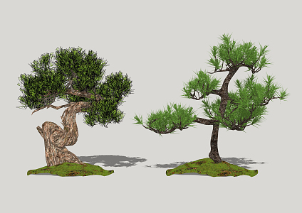 Modern Pine Zen Model Tree 3d model