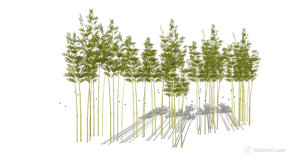 Tall Green Bamboo Grove With Lush Foliage And Sunlight Shadows 3d model 