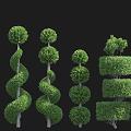 Green Plant Wall Featuring Various Topiary Shaped Trimmed Green Plants Arrangement