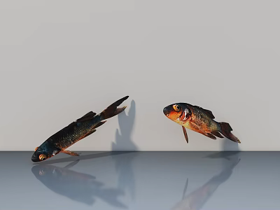 Colorful Koi Fish Swimming In Shallow Water With Clear Reflection Against Light Background Surface 3d model