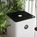 Air Purifier In Modern Living Room With TV And Plants