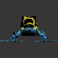 Vibrant Frog With Yellow And Black Body And Blue Legs On Dark Background