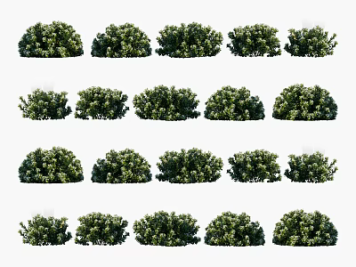 Various Green Shrubs With Different Sizes And Lush Dense Foliage For Landscaping 3d model