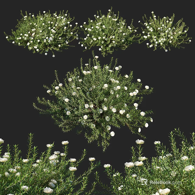 Vibrant White Flower Bushes with Lush Green Foliage and Abundant Blooms 3d model 