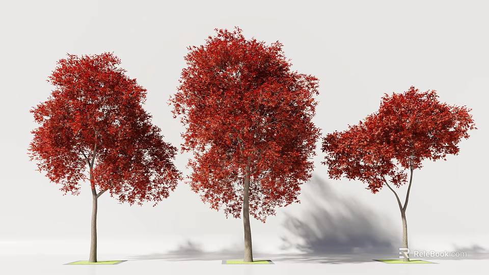 Three Tall Trees with Red Leaves and Trunks on Green Grass with Shadows 3d model 
