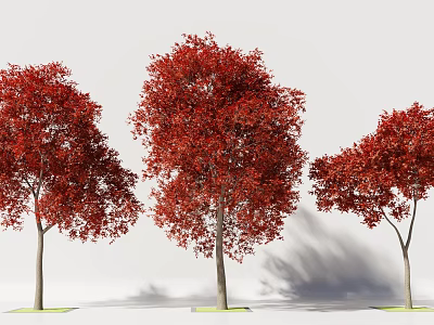 Three Tall Trees with Red Leaves and Trunks on Green Grass with Shadows 3d model
