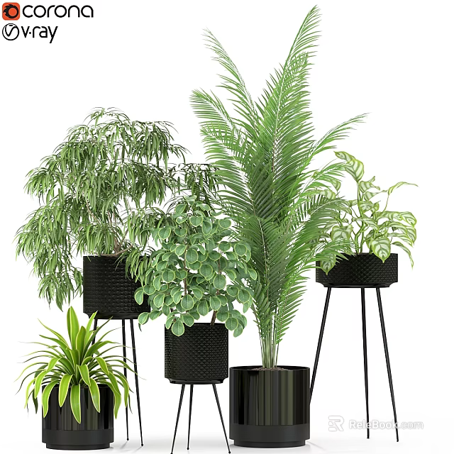 Indoor Plant Decor Set With Various Green Plants In Black Pots And Metal Stands 3d model 