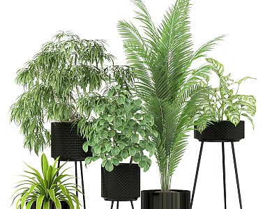 Indoor Plant Decor Set With Various Green Plants In Black Pots And Metal Stands 3d model