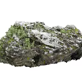 Natural Stone And Wood With Mossy Surface And Small Green Plants