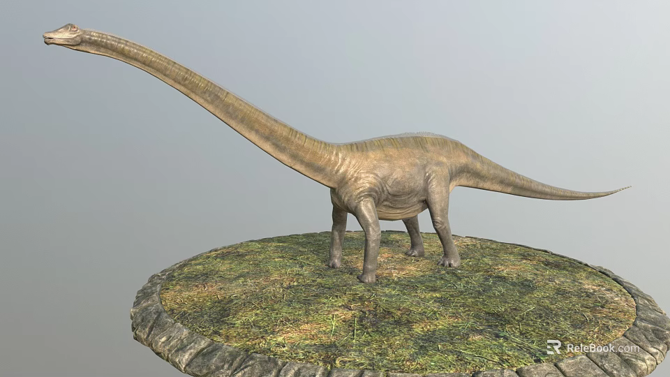 Long Necked Sauropod Dinosaur Model Standing On Grass Covered Circular Base 3d model 