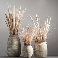 Decorative Potted Dried Plants in Rustic Ceramic Pots with Wheat Ears and Grass