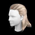 Game and Movie Character 3D Head Model With Long Blonde Hair and Center Part Design