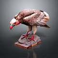 Eagle Taxidermy Featuring Brown Feathers White Head Red Beak Red Talons Stone Base Dark Background