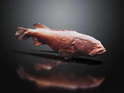 Detailed Red Grouper Fish on Dark Background with Clear Reflection View 3d model