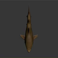 Realistic Brown Spotted Shark 3D Model With Detailed Design And Dark Background Reflection