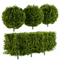 Lush Green Bushes With Dense Foliage And Different Heights For Garden Landscaping