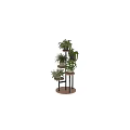 Multi Tiered Plant Stand With Various Green Indoor Plants For Home Decoration