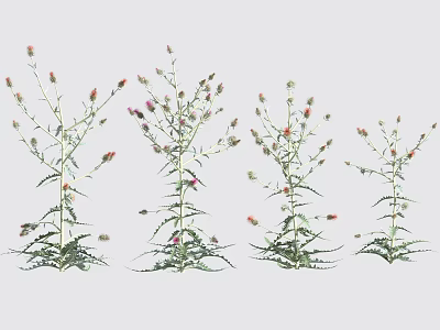 Flowers and Plants with Pink Red Blooms and Green Leaves Growing Naturally 3d model
