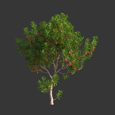 Lush Arbor With Green Leaves And Vibrant Red Berries In Natural Environment 3d model
