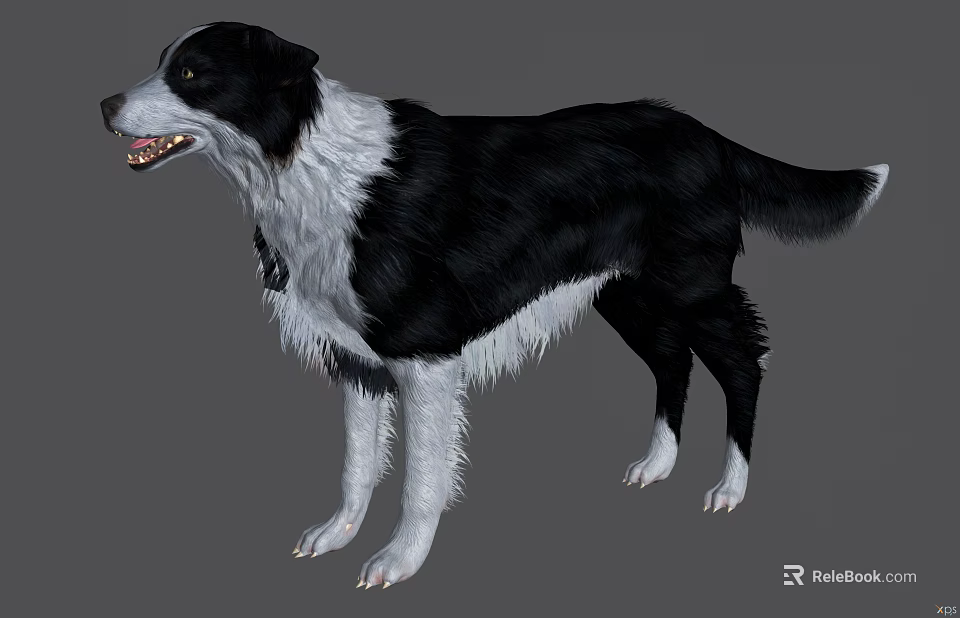 Black And White Reptile Standing With Open Mouth And Collar 3d model 