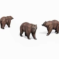 Three Brown Bear 3D Models With Different Standing Poses 3d model